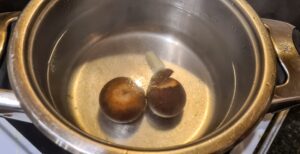 Avocado pit in water