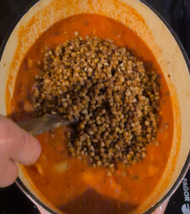 Lentils Stew