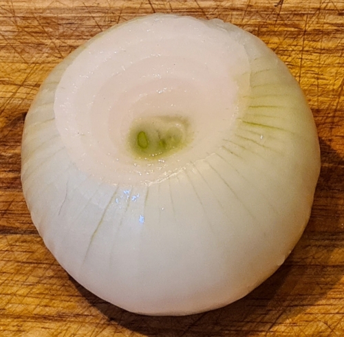 Onion