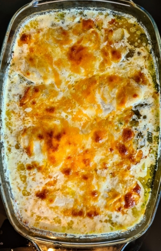 Gratin fish