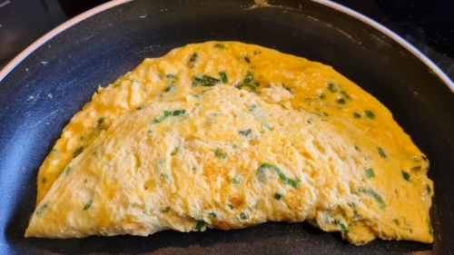 Folded Omelette